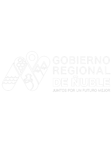 Gobierno Regional de Ñuble
