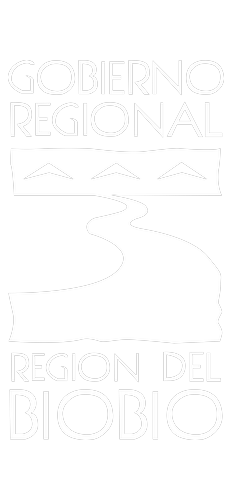 Gobierno Regional Biobío