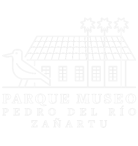 Parque Museo Pedro del Río Zañartu